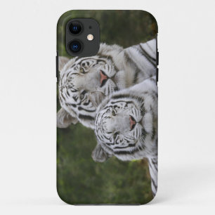 White phase, Bengal Tiger, Tigris Case-Mate iPhone Case