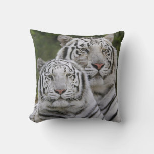 White phase, Bengal Tiger, Tigris Cushion