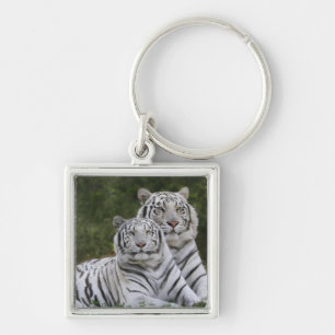 White phase, Bengal Tiger, Tigris Key Ring