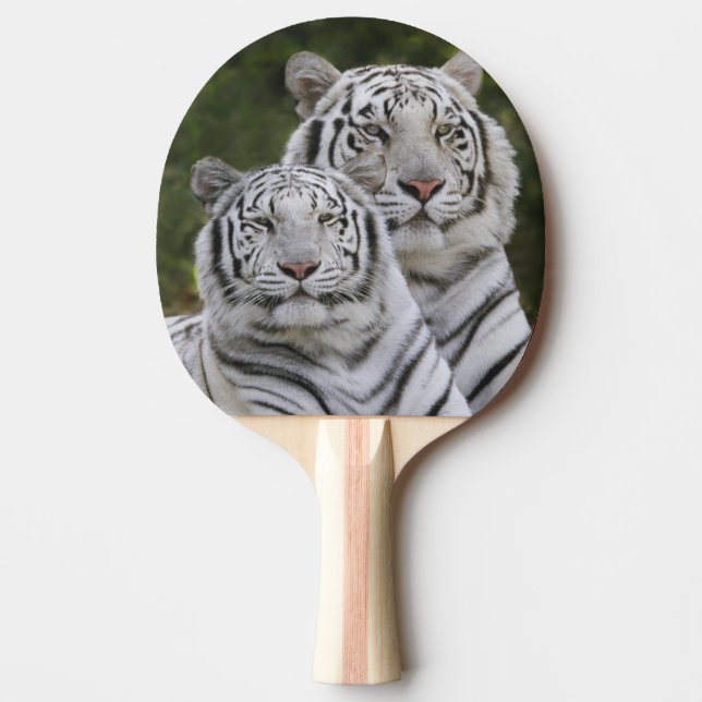 White phase, Bengal Tiger, Tigris Ping Pong Paddle (Front)