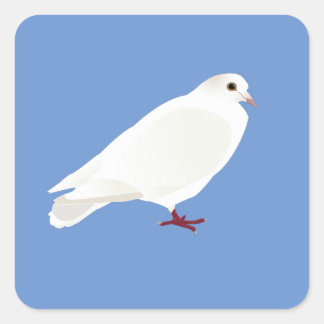 White Pigeon (Dove) Square Sticker