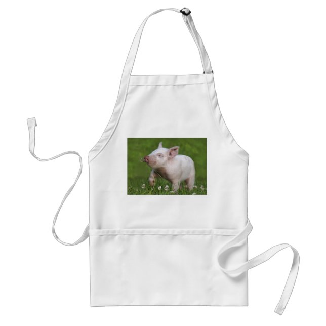 White Piglet Smelling Flowers Standard Apron (Front)