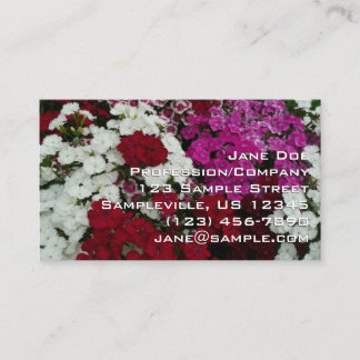White, Pink and Red Dianthus Floral Business Card