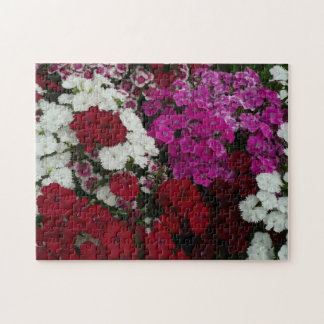 White, Pink and Red Dianthus Floral Jigsaw Puzzle