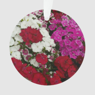 White, Pink and Red Dianthus Floral Ornament
