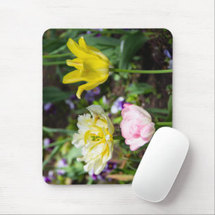 White, pink and yellow tulips in the garden mouse pad