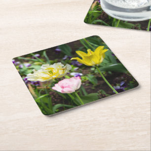 White, pink and yellow tulips in the garden   square paper coaster