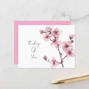 White Pink Cherry Blossom Floral  Postcard