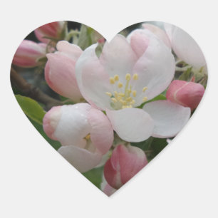 White Pink Flowers Heart Sticker