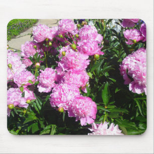 White Pink Peony Mousepad