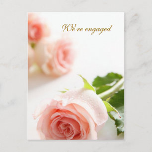 White pink rose Engagement Announcement Postcard