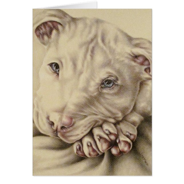 White Pit bull Drawing with Blue Eyes on Card (Front)