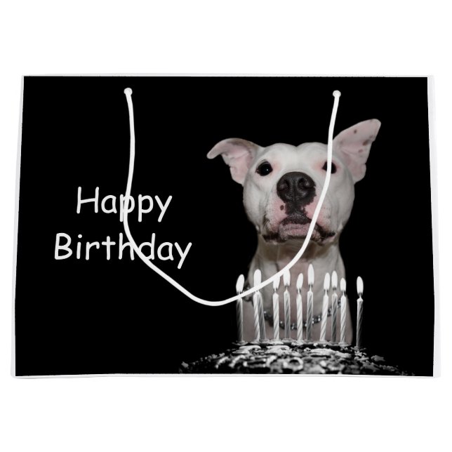 White Pitbull Birthday Large Gift Bag (Front)