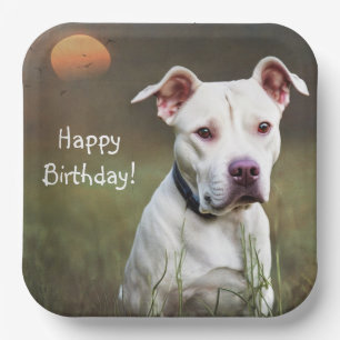 White Pitbull Paper Plate