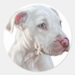 White Pitbull Puppy Classic Round Sticker