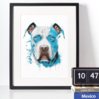 White Pitbull with Blue Eyes