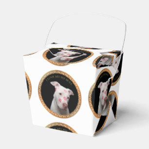 White pitbull with red kisses all over his face. favour box