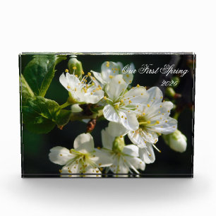 White Plum Blossom Macro   Personalised Photo Bloc Block