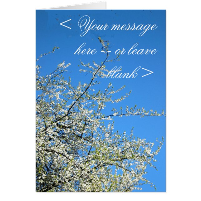 WHITE PLUM BLOSSOMS (CUSTOM) (Front)