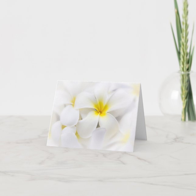 White Plumeria Flower Frangipani Floral Flowers Card (Front)