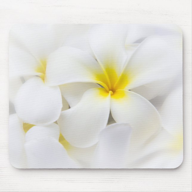 White Plumeria Flower Frangipani Floral Flowers Mouse Pad (Front)