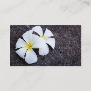 White Plumeria Flower Frangipani Floral Lava Rock Business Card