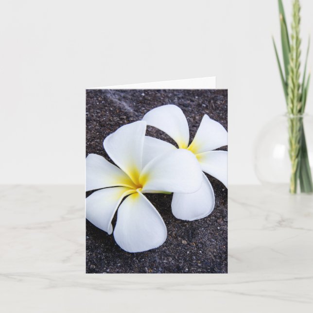 White Plumeria Flower Frangipani Floral Lava Rock Card (Front)