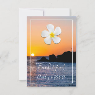 White Plumeria Flower, Golden Sunset, Thank You Invitation