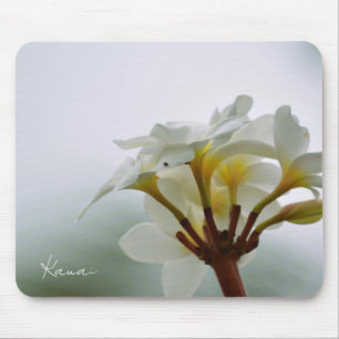 White Plumeria Flowers Kauai (photo taken by me) Mouse Pad