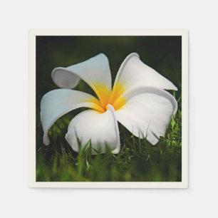 White Plumeria Frangipani Hawaii Flower Napkin