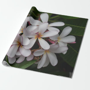 White Plumeria Wrapping Paper