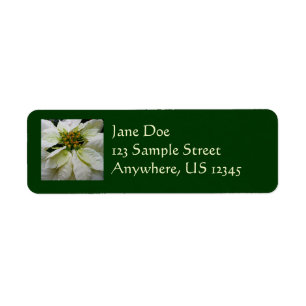 White Poinsettia Elegant Christmas Holiday Floral
