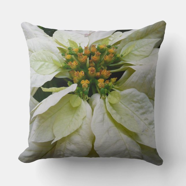 White Poinsettia Elegant Christmas Holiday Floral Cushion (Front)