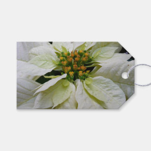 White Poinsettia Elegant Christmas Holiday Floral Gift Tags