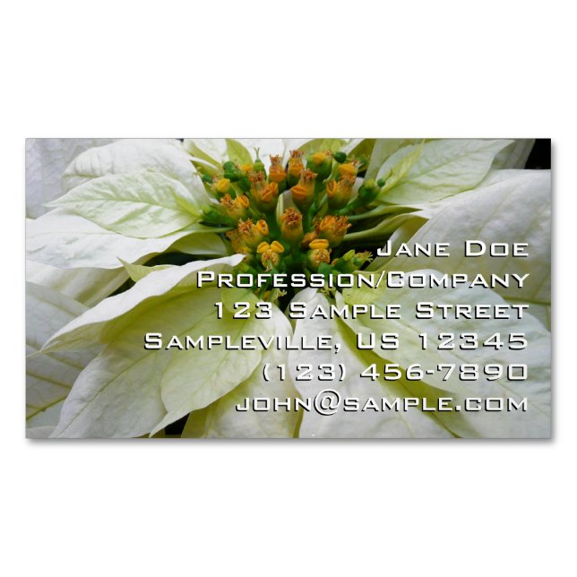 White Poinsettia Elegant Christmas Holiday Floral Magnetic Business Card (Front)