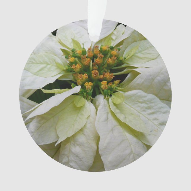 White Poinsettia Elegant Christmas Holiday Floral Ornament (Front)