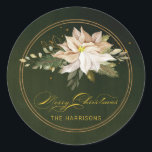 White Poinsettia & Merry Christmas Calligraphy Classic Round Sticker<br><div class="desc">Elegant artistic white poinsettia,  green leaves,  winter pine,  gold greenery and sparkles with "Merry Christmas" custom calligraphy on green background. Includes editable text field.</div>