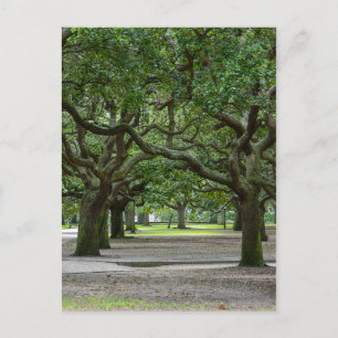 White Point Gardens Painterly Postcard