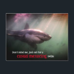 White pointer shark underwater holiday postcard<br><div class="desc">This is a photo of a great white shark swimming underwater in South Africa</div>