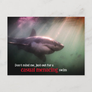 White pointer shark underwater holiday postcard