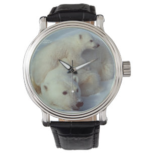 White Polar Bear Family Watch