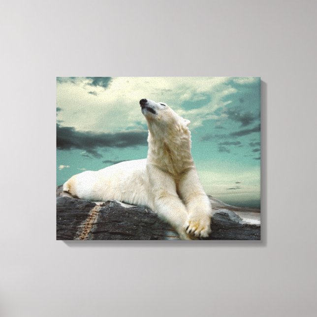 White Polar Bear Hunter on rock Canvas Print (Front)