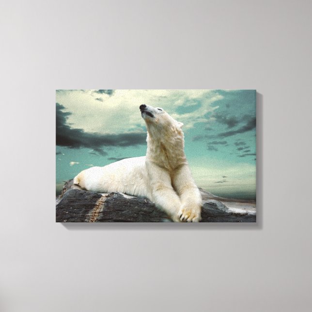 White Polar Bear Hunter on rock Canvas Print (Front)