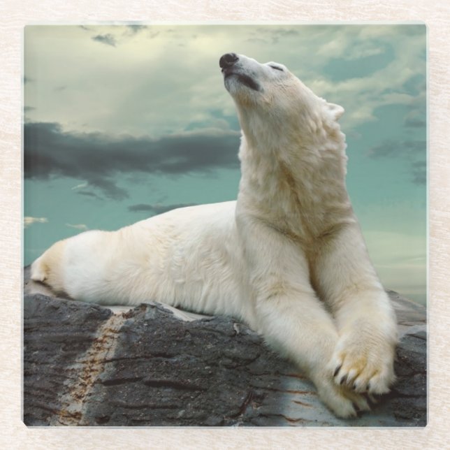 White Polar Bear Hunter on rock Glass Coaster (Front)