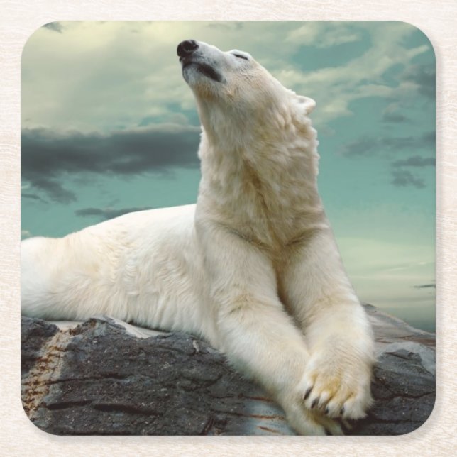 White Polar Bear Hunter on rock Square Paper Coaster (Front)