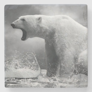White Polar Bear Hunter on the Ice in water Stone Coaster