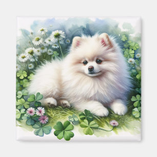 White Pomeranian Dog Watercolor Clover Field Magnet