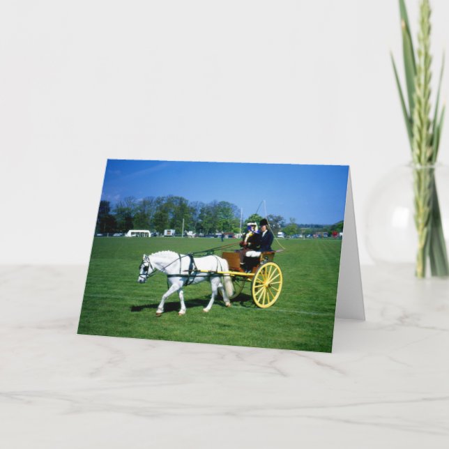 White pony and trap holiday card (Front)