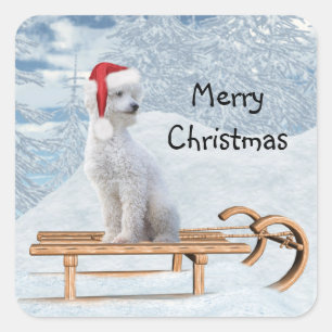 White Poodle Christmas Square Sticker