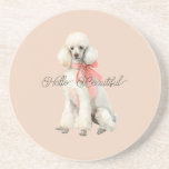 White Poodle Dog Hello Beautiful Coaster<br><div class="desc">White Poodle Dog Hello Beautiful</div>